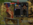 sorun2.png