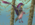 1681833646617.png