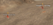 1681833659097.png