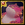 panda3.png