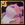 panda4.png