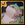 panda6.png
