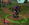 488OWA.png