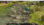 1697295984315.png