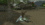 5.gif