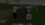 1703681344063.png