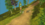1703875228570.png