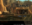 1737810558061.png