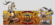 Header.gif