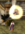 Screenshot 2025-04-18 090920.png