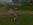 1752102743014.png
