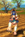 1753809004273.png