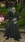 1753881145071.png