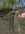 1753881153433.png