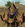 1756390102559.png