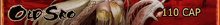 V-SRO-BANNER.gif
