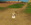 Screenshot 2025-10-01 050417.png