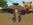 😈 Angel Avatar Devil Rework 2025 Veromos Edit-2.png