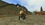 Screenshot_21.png