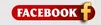 NEW ForeverR | iSROR | Old Job |CAP 90 | CHEU | PROGRESSIVE | 31102025 1 Viewer-3.webp