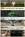 NEW ForeverR | iSROR | Old Job |CAP 90 | CHEU | PROGRESSIVE | 31102025 1 Viewer-15.webp