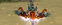 Radium Aqua Reborn Cap 100-71.gif