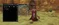Silkroad Database v1188 V2 Original Clean All Official Areas + Dungeons-7.webp
