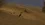 Silkroad Database v1188 V2 Original Clean All Official Areas + Dungeons-20.webp