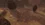 Silkroad Database v1188 V2 Original Clean All Official Areas + Dungeons-24.webp