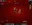 Silkroad Database v1188 V2 Original Clean All Official Areas + Dungeons-53.webp