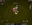 Silkroad Database v1188 V2 Original Clean All Official Areas + Dungeons-59.webp