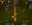 Silkroad Database v1188 V2 Original Clean All Official Areas + Dungeons-60.webp