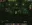 Silkroad Database v1188 V2 Original Clean All Official Areas + Dungeons-68.webp