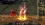 SRO[2025-12-25 09-26-59]_70.webp