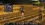 SRO[2025-12-30 06-19-09]_79.webp