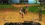 SRO[2025-12-31 10-38-31]_44.webp