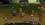 SRO[2026-01-01 06-42-06]_07.webp