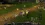 SRO[2026-01-01 06-42-59]_77.webp