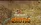 Exotic Online | Cap 110 | EUCH | Free Silk | New Features | Play2Win | 10042022 Beta | 180420...webp