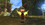 Exyra Online l CAP 100 l CHEU l Job Based l GO 02092022 l 200 USD Fortress War-123.gif