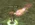 1768500263114.webp