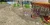 1769272473138.webp