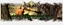 AVADONONLINE | CAP 110 | IMPRESSIVE FEATURES | CASH EVENTS | BETA 15042022 | GRAND OPEN 2204...webp