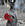 f4ae7f0f004bb54a390f4c424c3a3bad.gif
