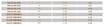 Pharos Online I 120 Cap I Europe Chinese I Full Aktivite I Future of Pharos | GRAND OPENİNG 0...png