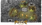 Pharos Online I 120 Cap I Europe Chinese I Full Aktivite I Future of Pharos | GRAND OPENİNG 0...png