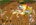 Pharos Online I 120 Cap I Europe Chinese I Full Aktivite I Future of Pharos | GRAND OPENİNG 0...jpg