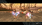 guardian_angel_wing.png
