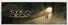 Header Zszc.gif