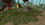 31.png